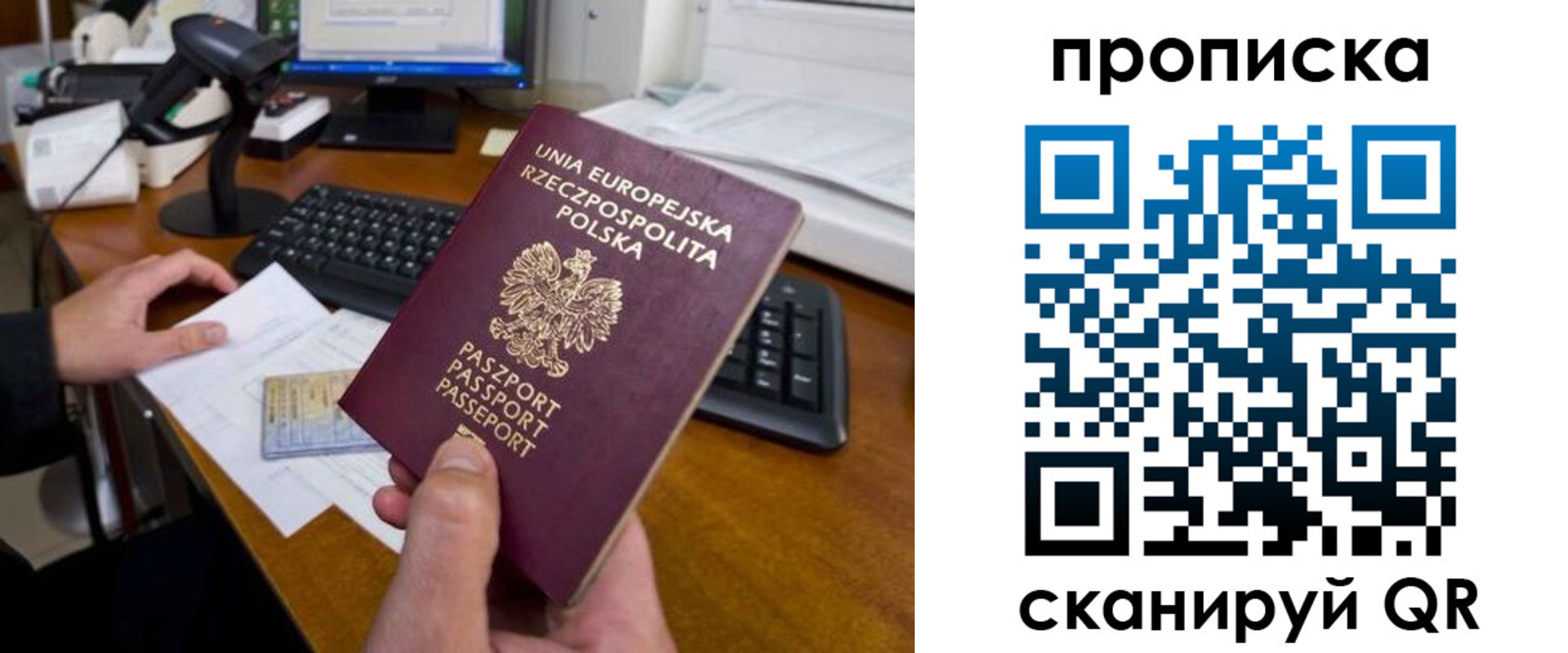 прописка для школы в Елабуге